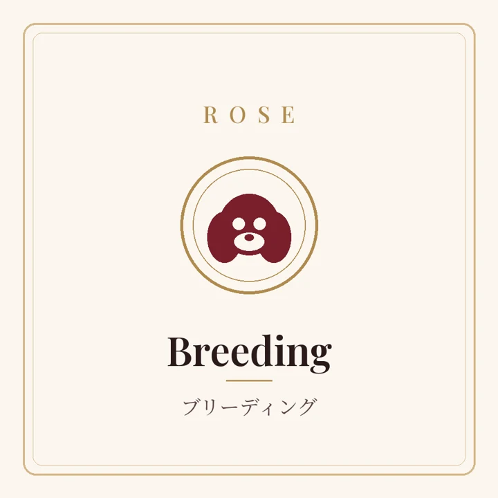 Breeding(ブリーディング)