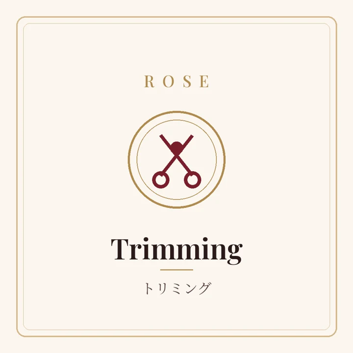Trimming(トリミング)